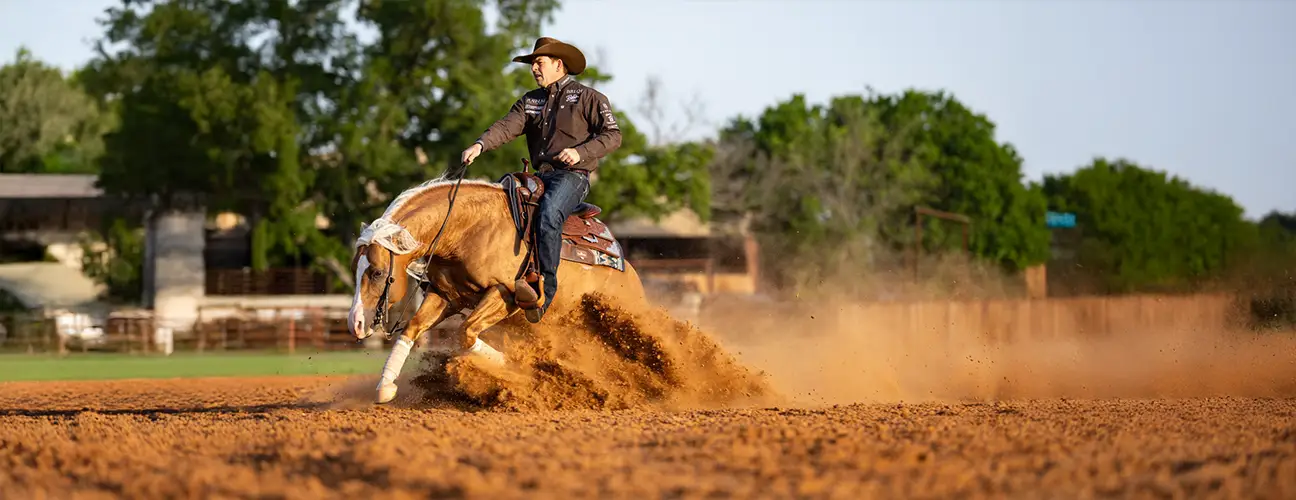 Jordan Larson | Larson Performance Horses