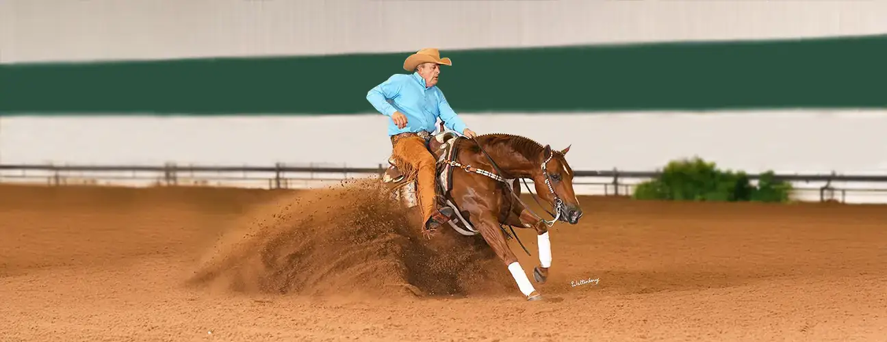 Dan Huss Reining Horses