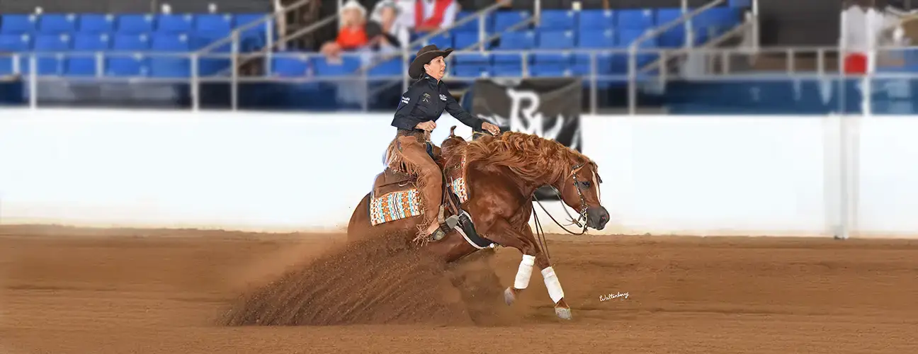 Ashley Wilson-Hammer Reining Horses