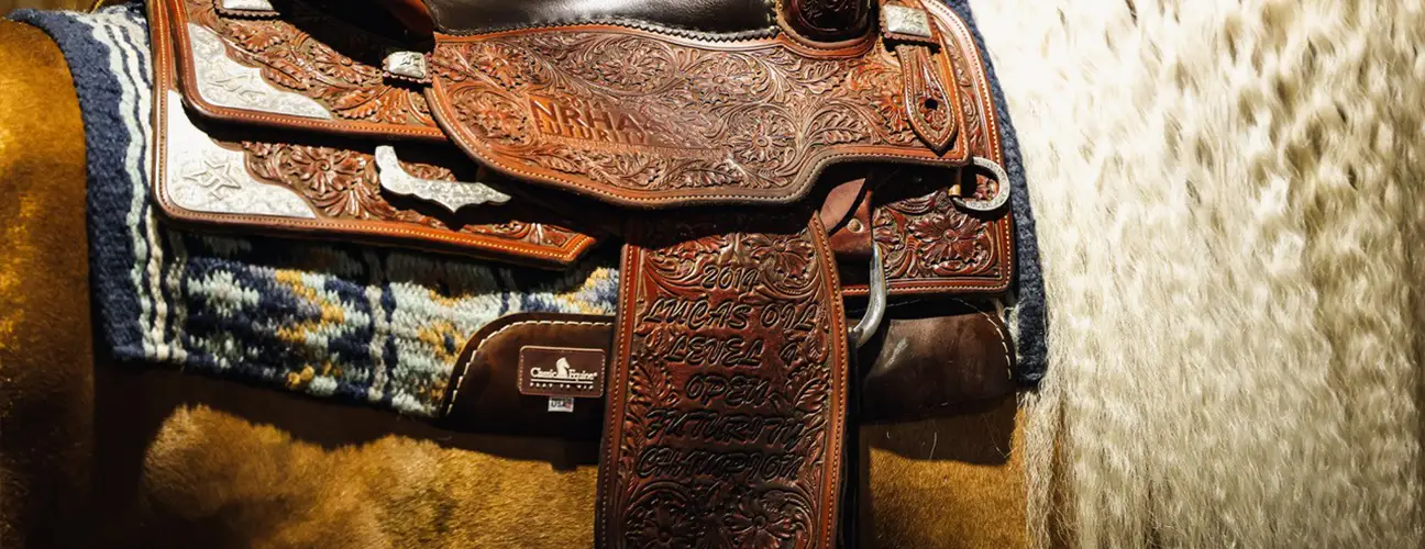 Jordan Larson | Larson Performance Horses - Image 3