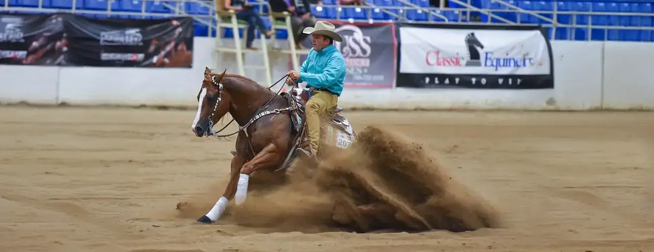 Dan Huss Reining Horses - Image 3