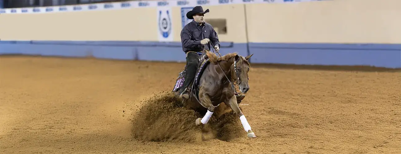 Marcos Guimarães Reining Horses - Image 3