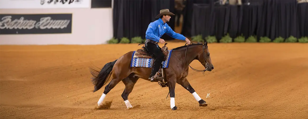 Lior Dubowski Reining Horses - Image 3