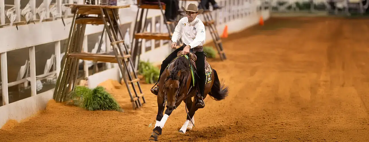 Lior Dubowski Reining Horses - Image 1