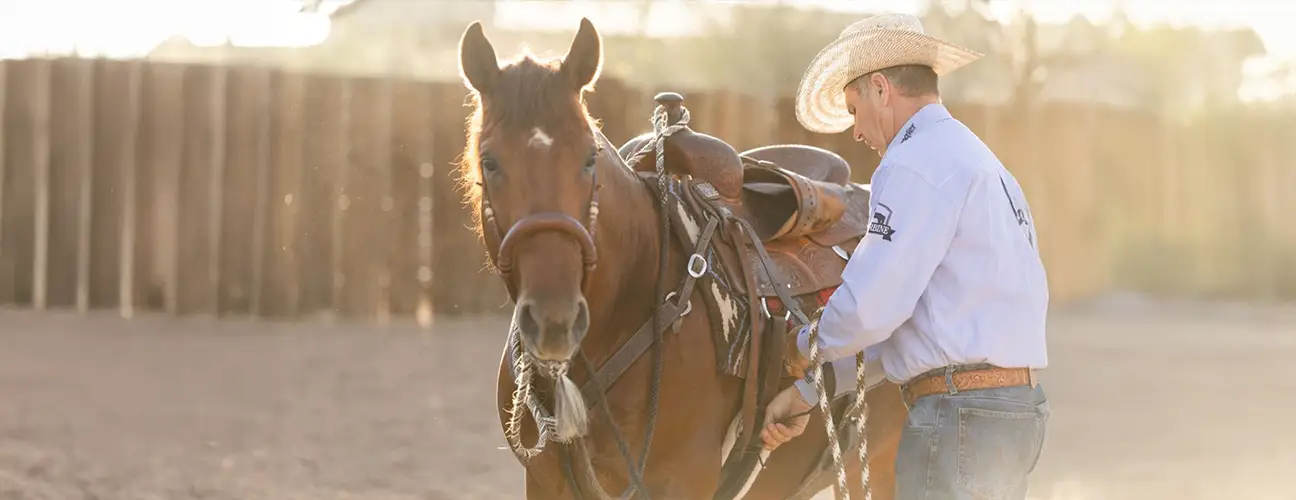 Brad Barkemeyer Performance Horses - Image 2